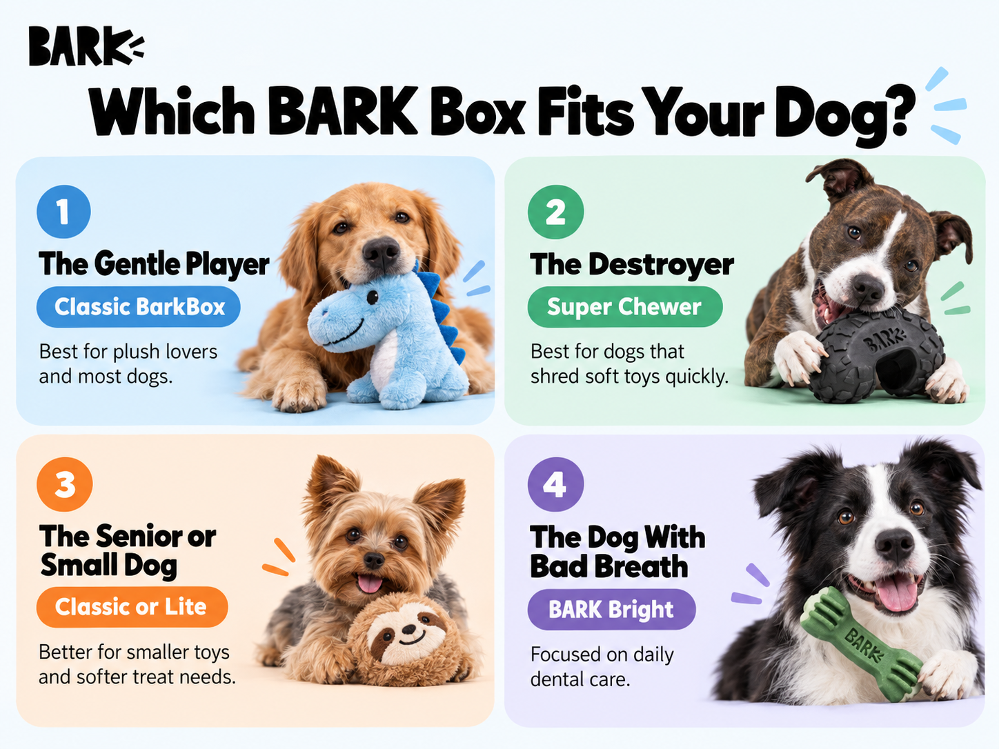 BarkBox-img-2
