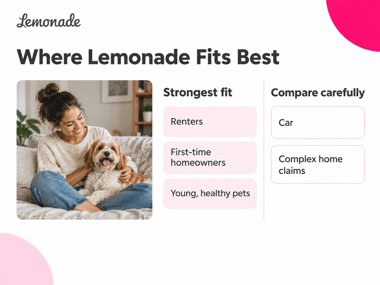Lemonade-img-4