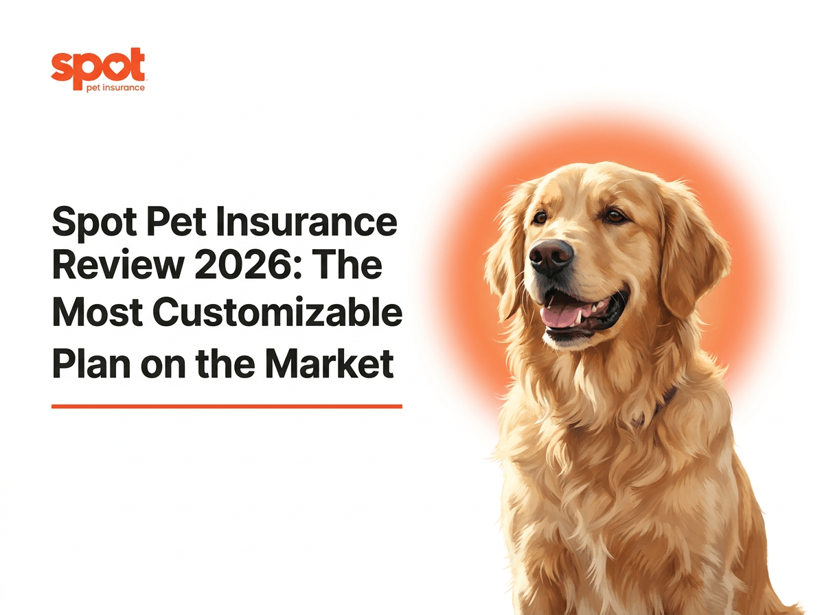 Spot Pet Insurance Review 2026: The Most Customizable Plan on the Market 