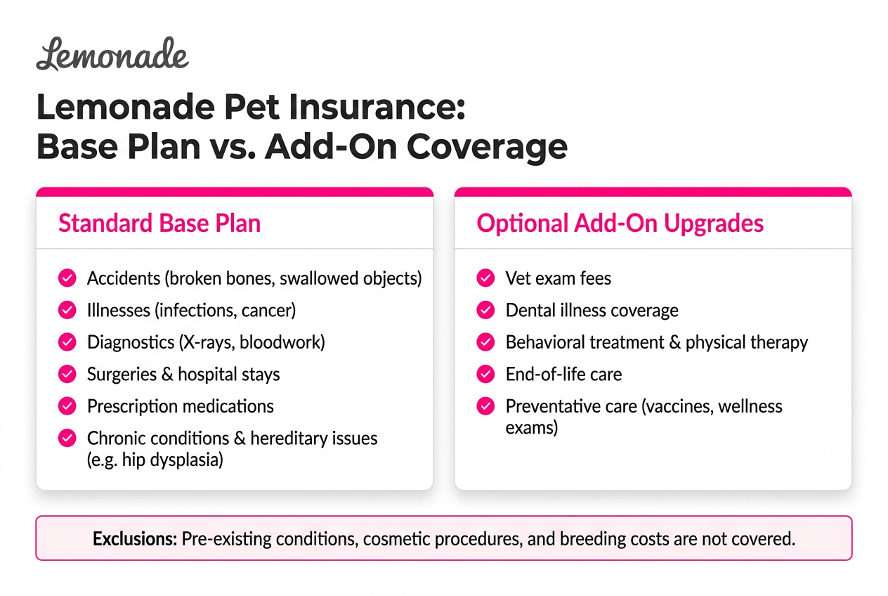 lemonade-pet-insurance-img-2