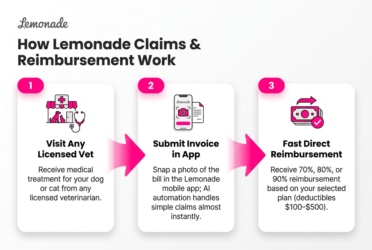 lemonade-pet-insurance-img-4
