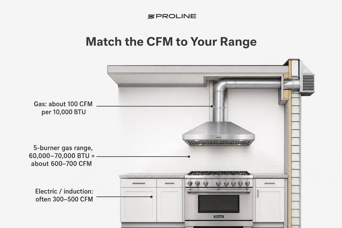 Proline-img-3